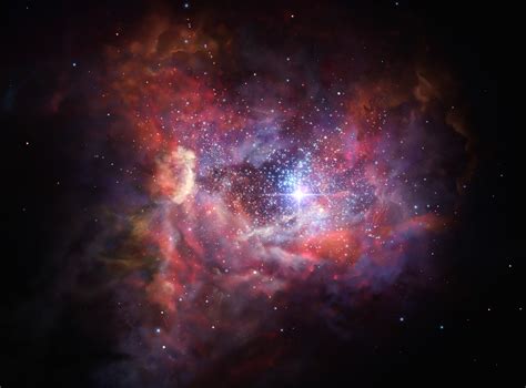 Stardust as Guardians of the Cosmos: Ensuring Future Discoveries